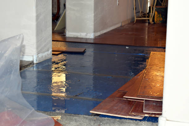 Professional Flood Damage Repair technician working in Schoolcraft, MI